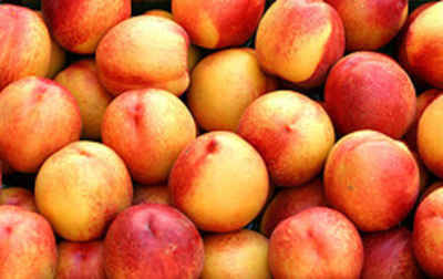 Watsonia_farms_peaches