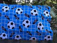 Soccer_blue