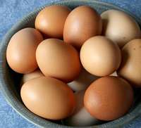 Bowl-of-brown-eggs